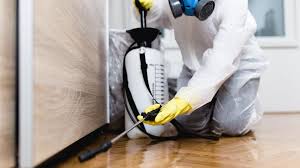 Best Termite Inspection and Treatment  in Mandeville, LA